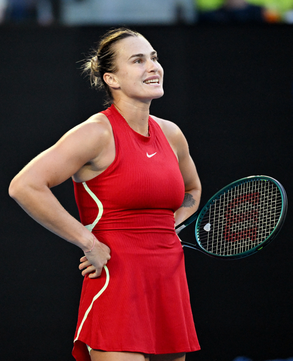 则成为一种 则成为一种